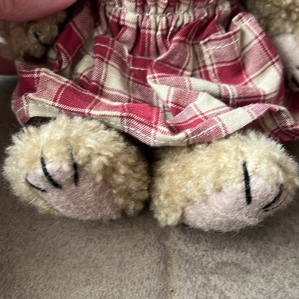 Boyd’s Bear - Picture 3 of 7
